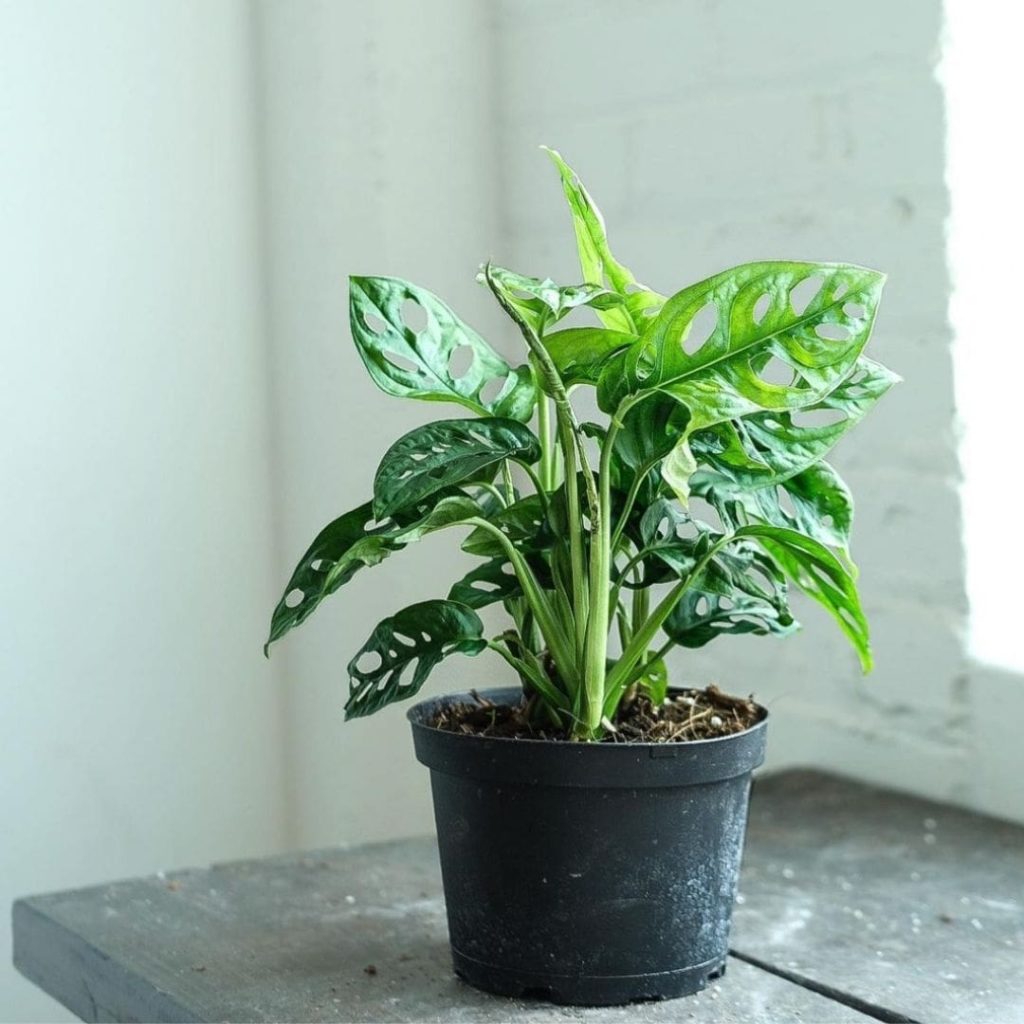 20 Small Businesses To Shop Online For The Holiday Season