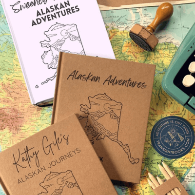 transient books - best small businesses to shop online