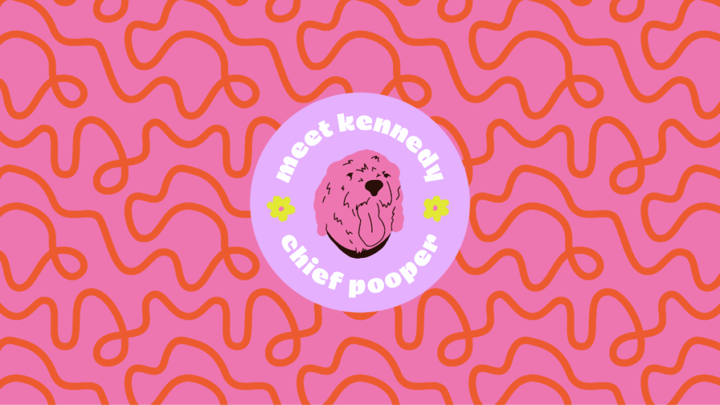 kennedy, chief dog at amusejoy poo bags