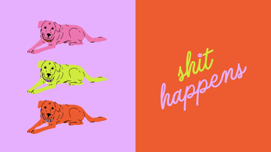 bold and colorful product branding